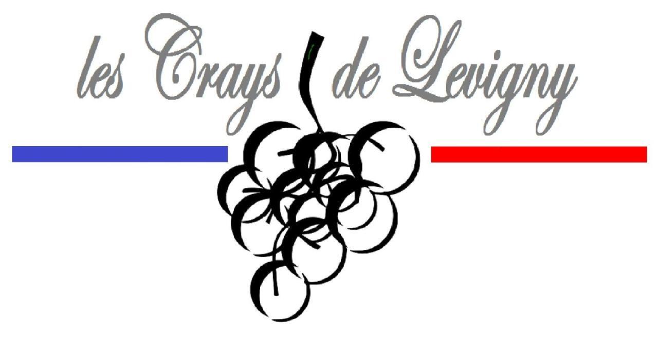 Les Crays De Levigny Bed & Breakfast Charnay-les-Macon Exterior photo